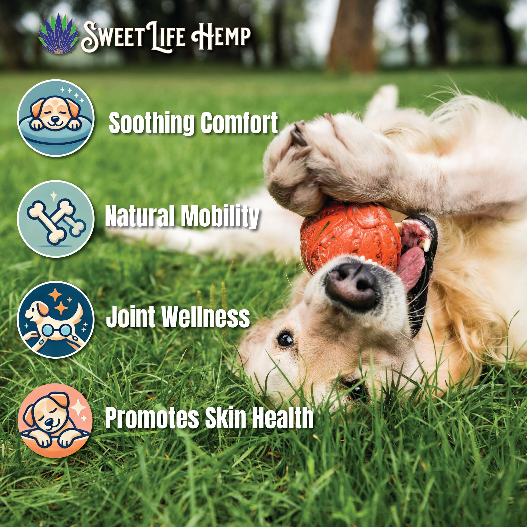 Sweet Paws Hemp Oil for Pets | Helps Dogs and Cats with Anxiety, Pain, Stress, Sleep, Arthritis & Seizures Relief | USA Small Business | Roasted Chicken Flavored | 330mg, Brown