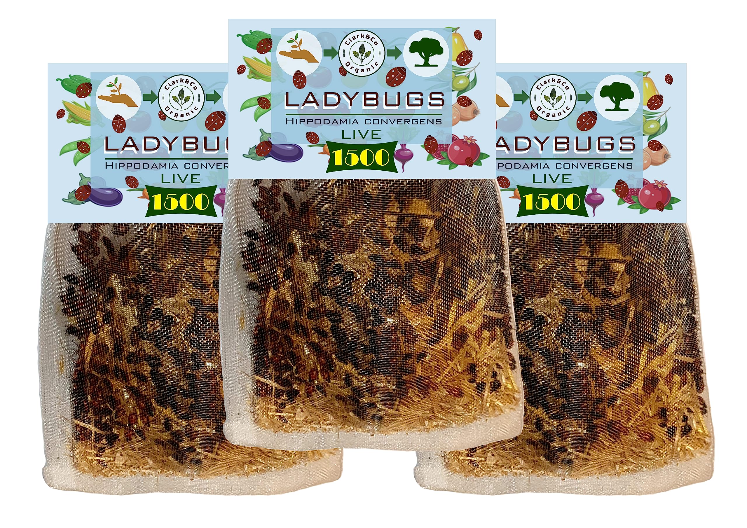 Clark&Co Organic 3x1500 Live Ladybugs Live Ladybugs - Good Bugs - Guaranteed Live Delivery!…