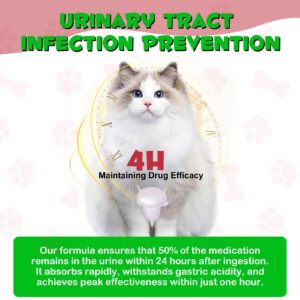 Urinary Tract for Cats, Natural Cat Urinary Tract Infection Treatment Drops - Supports Bladder, Kidney Stone, Dog UTI, Cranberry Kidney Bladder Support Supplement, Chicken Flavor - 60 ml / 2.02oz