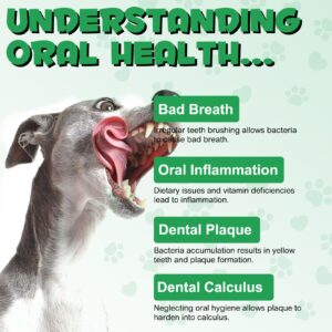 Oral Care Spray for Dogs, Pet Breath Dental Care Spray with Natural Ingredients, Dog Breath Freshener for Bad Breath, Plaque and Tartar, Pet Health Supplies Teeth Treatment Spray - 5.1 Fl Oz / 150ml