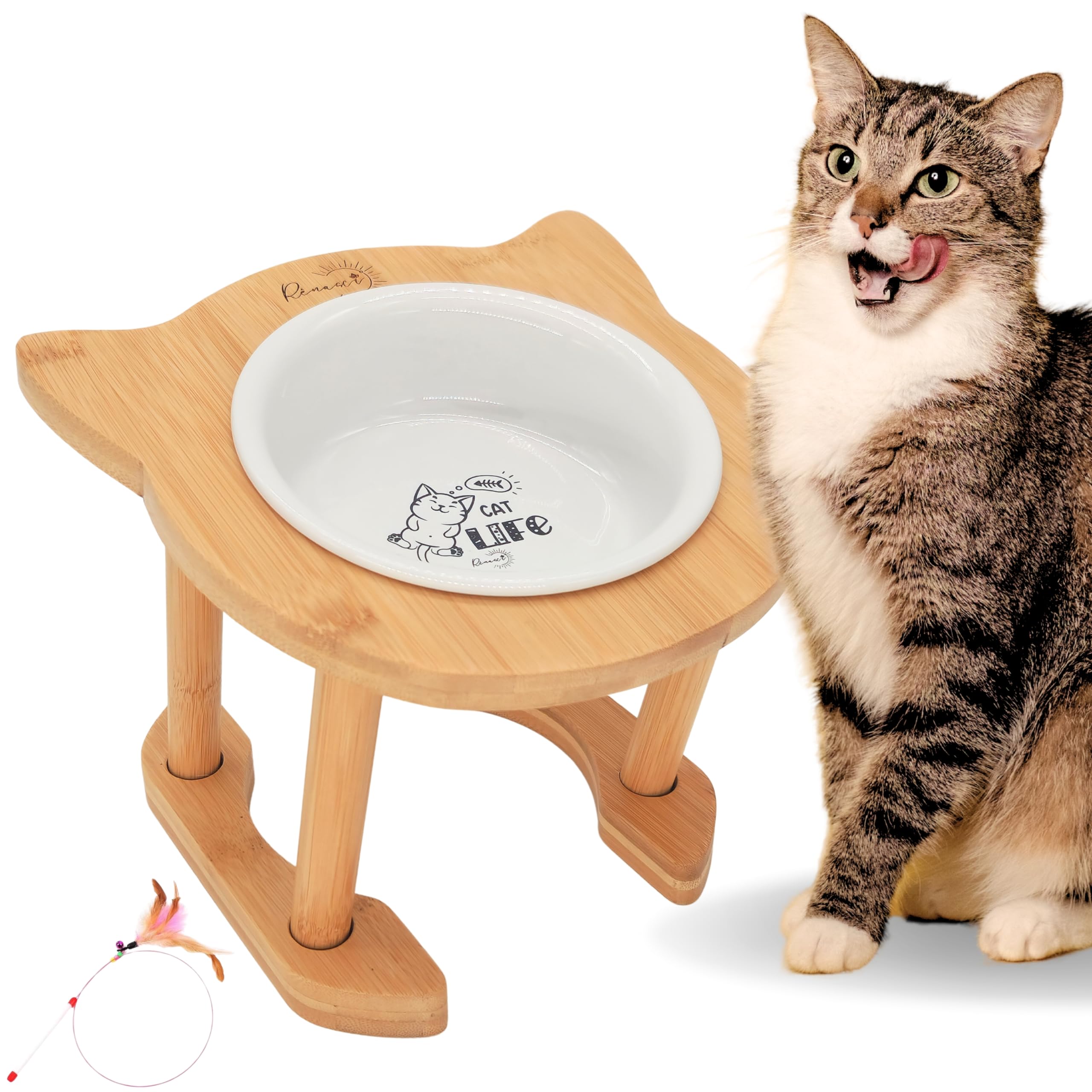 Rênasci® Elevated Ceramic Cat Food Dish Bowl, Adjustable Height, Raised Eco-Bamboo Wood Rack, Sturdy Pet Feeder, Tilted Angle