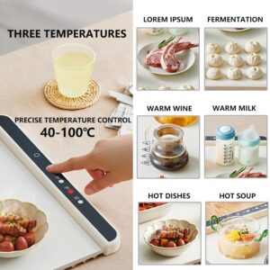 Electric Warming Tray - Adjustable 3 Temperature Full Surface Heating, Premium Silicone Nano-Material Versatile Food Warmer for Gatherings,Parties,Daily Use