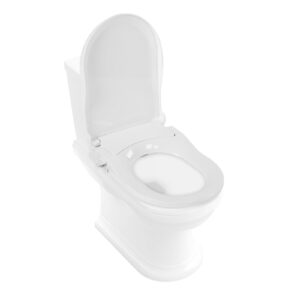 Bidet Toilet Seat, Non-Electric Bidet Toilet Seat with Dual Nozzle System & Hose, Bidet Toilet Seat with Self Cleaning Dual Nozzles for Existing Toilets