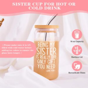 Sister Birthday Gifts, Sisters Gifts from Sister, Birthday Gifts for Sister, Big Sister, Sister in Law, Sister Adult, Best Funny Cool Gifts for Sister from Sister, Happy Birthday Sister Gifts