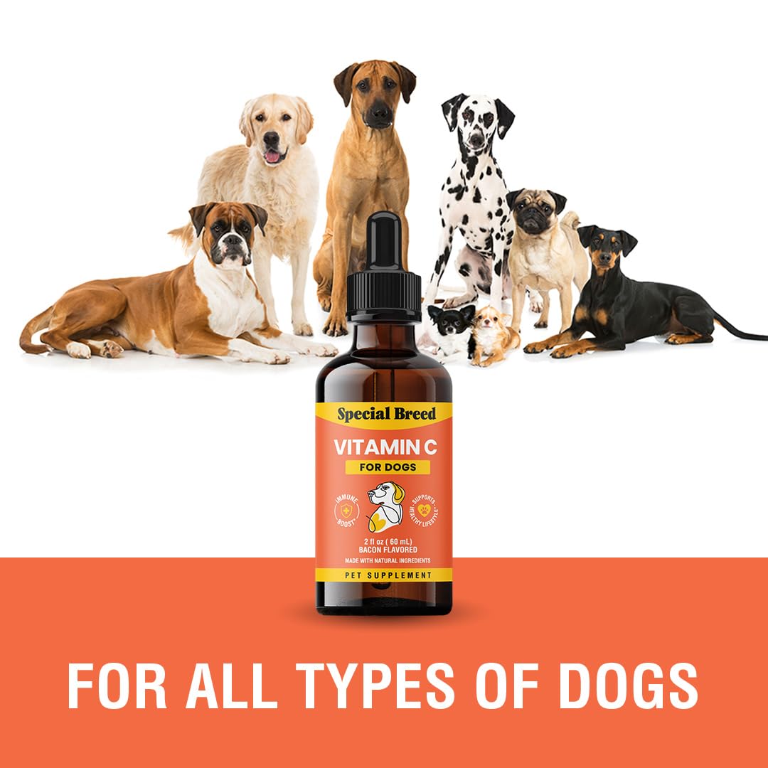 Vitamin C for Dogs, Helps Support Immune System, Vitamin C Liquid Supplement, Dog Immune Booster, Bacon Flavored, 2oz