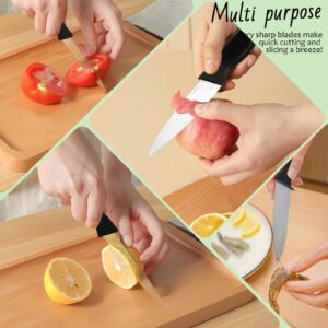 Yedcxup Paring Knives Set of 4-4'' Fruit Vegetable Paring Knives Large Sturdy Handle 4Cr14 Stainless Steel Sharp Blades Paring Knife Quick Cutting Small Kitchen Knife (4pcs/Black)