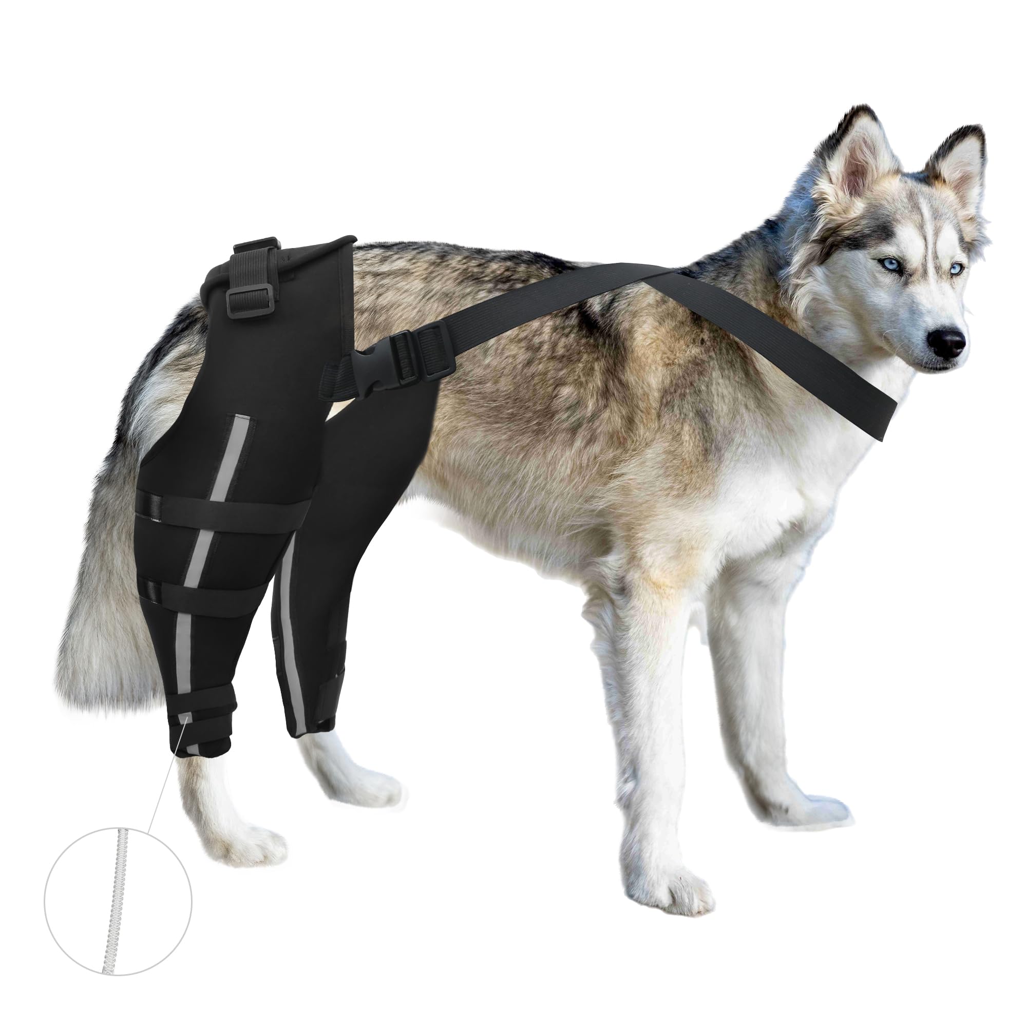 WACOI Dog Knee Brace for Torn ACL Hind Leg, Dog Leg Braces for Back Leg, Adjustable Leg Support for Large and Small Dogs with ACL, CCL, Cruciate Ligament Injuries L