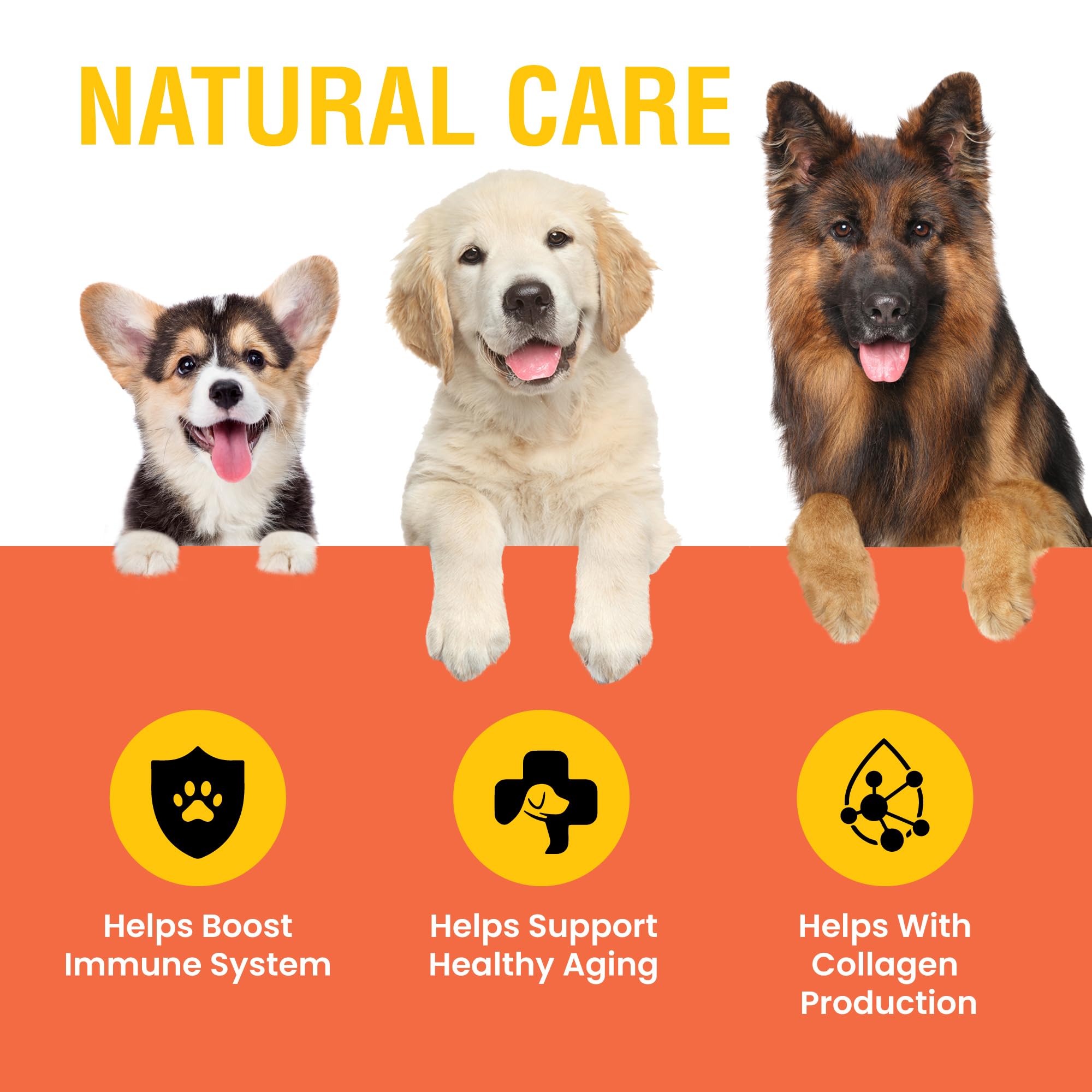 Vitamin C for Dogs, Helps Support Immune System, Vitamin C Liquid Supplement, Dog Immune Booster, Bacon Flavored, 2oz