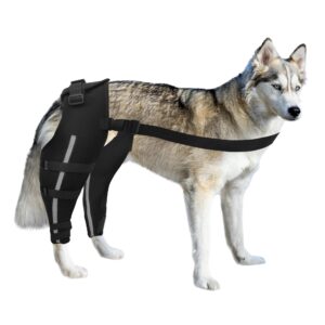 wacoi dog knee brace for torn acl hind leg, dog leg braces for back leg, adjustable leg support for large and small dogs with acl, ccl, cruciate ligament injuries s-regular model