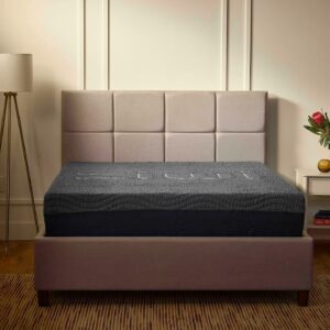 ZIWI Zipp Mattress, New Interlocking Foam Design, All-in-One Comfort, Support & Cooling, Better Than Memory Foam, Chemical-Free Materials, No-Risk 100-Night Trial, 20-Year Warranty, Queen