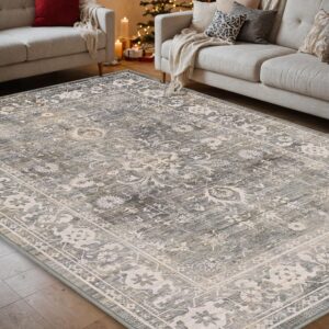 dexi area rug 5x8, washable rugs living room dining room bedroom bedside, non-shedding low-pile shag soft large carpet mat for inside floor, beige grey