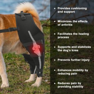 WACOI Dog Knee Brace for Torn ACL Hind Leg, Dog Leg Braces for Back Leg, Adjustable Leg Support for Large and Small Dogs with ACL, CCL, Cruciate Ligament Injuries S-Regular Model