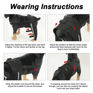 WACOI Dog Knee Brace for Torn ACL Hind Leg, Dog Leg Braces for Back Leg, Adjustable Leg Support for Large and Small Dogs with ACL, CCL, Cruciate Ligament Injuries S-Regular Model