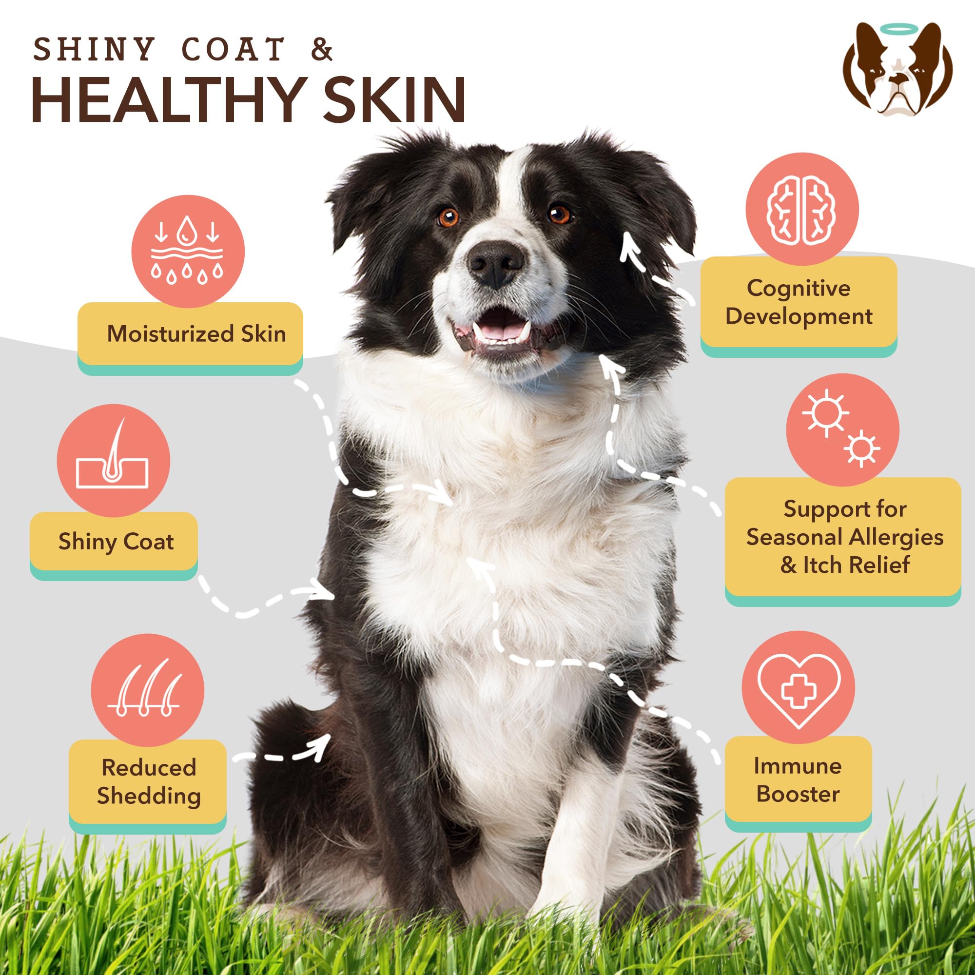 Natural Dog Company Dog Skin and Coat Supplement Chews 2-Pack Bundle, Omega-3 Chews for Dogs, Itchy Skin Relief, Promotes Healthy Coat, Dog Vitamins & Supplement, Antioxidants, Large Breed Dogs