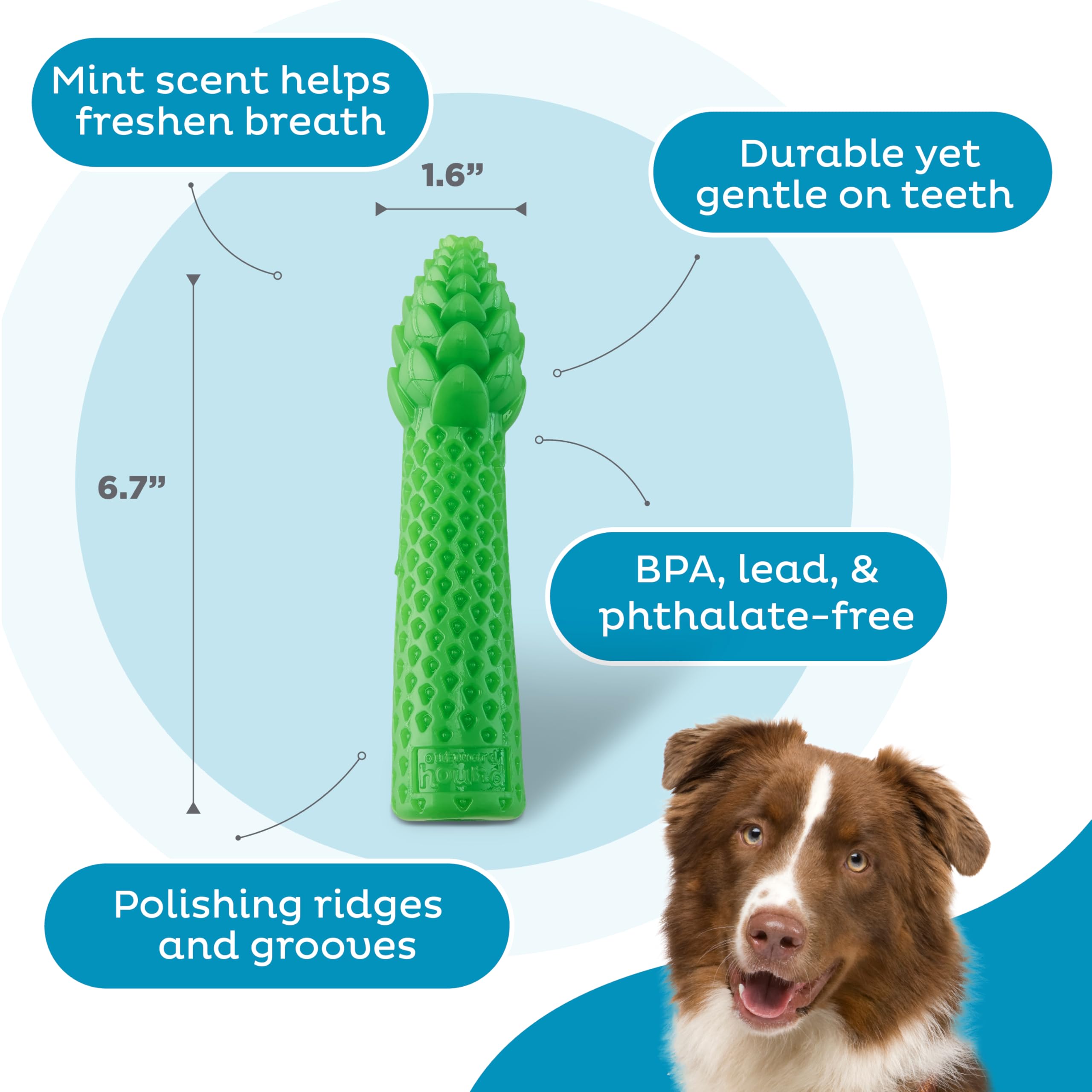 Outward Hound Dental Asparagus Treat-Dispensing Dental Dog Chew Toy, Medium, Green