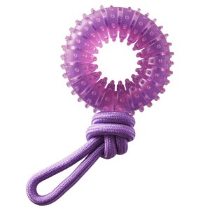 outward hound 2-in-1 dental chew wheel dog chew toy and tug toy, purple