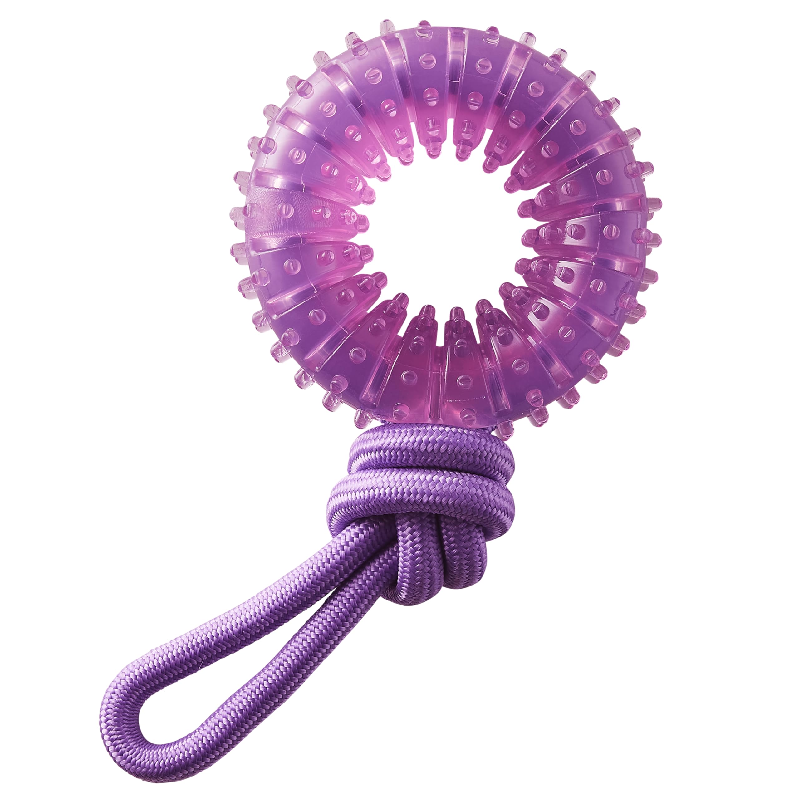 Outward Hound 2-in-1 Dental Chew Wheel Dog Chew Toy and Tug Toy, Purple