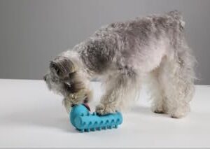 iPetz Dog ChewPod (Large/ExtraLarge)