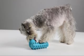 iPetz Dog ChewPod (Large/ExtraLarge)