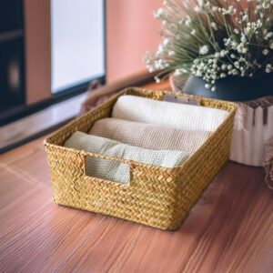 1 Pcs Handwoven Wicker Shelf Baskets, Natural Bamboo Rectangular Organizing Baskets for Shelf/Table, Built-in Iron Rack Wicker Storage Basket for Snack Cat Strip Small Things