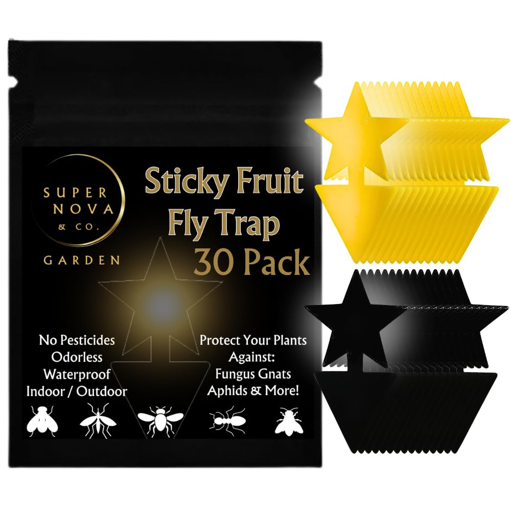 Super Nova & Co. 30pk Sticky Fruit Fly Traps Star-Shaped Indoor Plants Outdoor Garden Double-Sided Adhesive Flying Gnat Insect Pest Management Catcher Non Toxic Odorless Waterproof UV-Resistant 3x5”