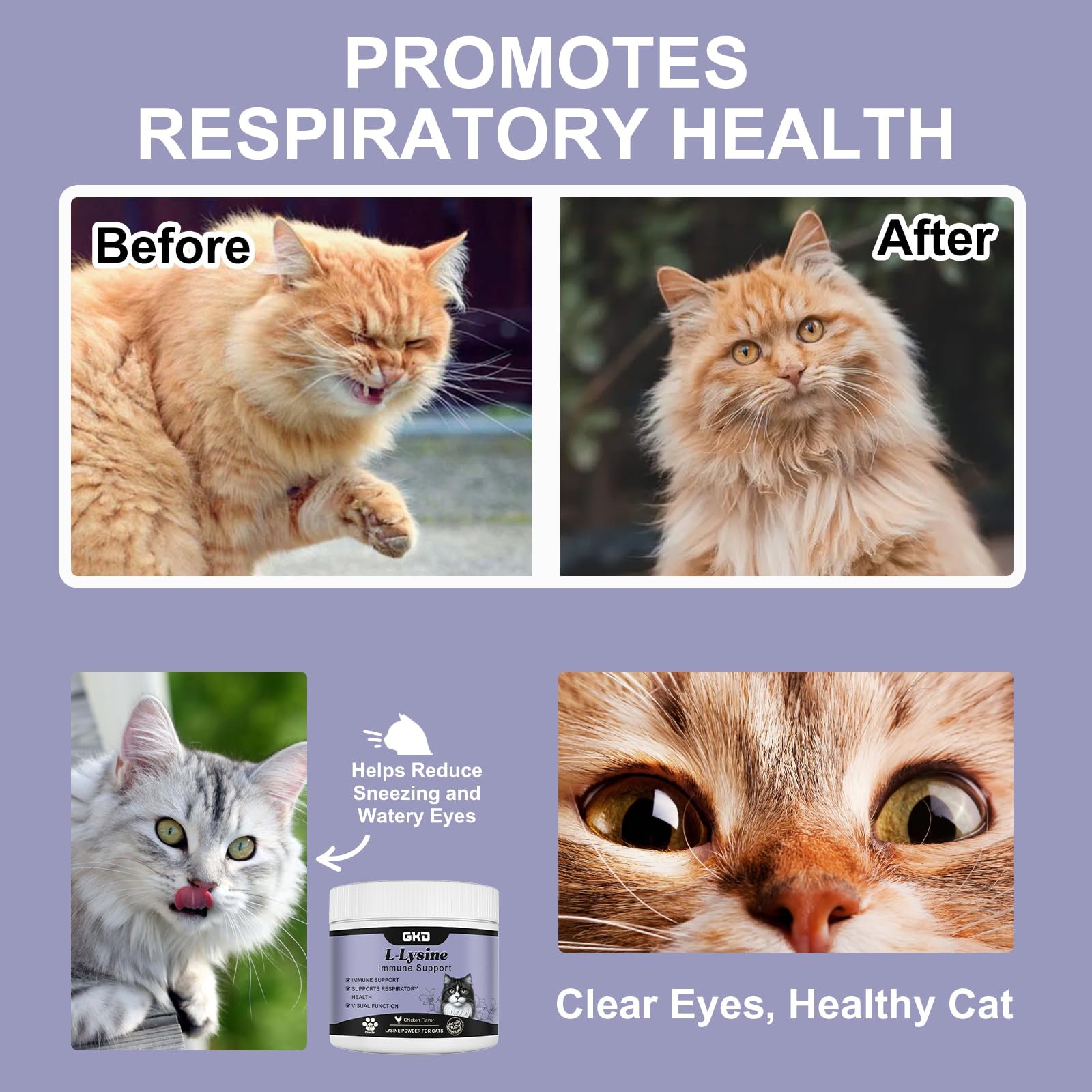 L-Lysine Powder for Cats, Immune Support for Cats, Supports Immune and Eye Health Supplement, Lysine for Cats, Aid with Reduces Eye Discharge, Alleviates Sneezing and Runny Nose