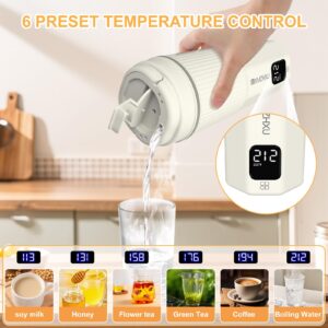 Travel Electric Kettle,316 Stainless Steel Small Portable Coffee Tea Kettle with 6 Temperature Settings, 450ml/15.2oz Mini Hot Water Boiler,100V-240V Dual Voltage,Auto Shut-Off,Boil Dry Protection