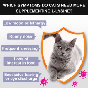 L-Lysine Powder for Cats, Immune Support for Cats, Supports Immune and Eye Health Supplement, Lysine for Cats, Aid with Reduces Eye Discharge, Alleviates Sneezing and Runny Nose