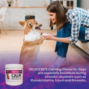 Veloce Pets Calming Chews for Dogs Anxiety- Separation Anxiety Relief Treats for Dogs with Inositol, Taurine & Theanine Relief for Fireworks, Travel and Thunderstorms 60 Count