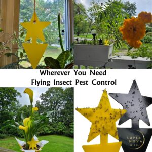 Super Nova & Co. 30pk Sticky Fruit Fly Traps Star-Shaped Indoor Plants Outdoor Garden Double-Sided Adhesive Flying Gnat Insect Pest Management Catcher Non Toxic Odorless Waterproof UV-Resistant 3x5”