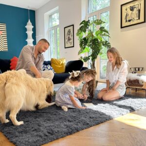 OLANLY Area Rugs for Living Room Bedroom, Machine Washable 4x5.9 Feet Soft Fluffy Shaggy Bedside Rug, Indoor Floor Carpet for Kids Girls and Boys, Dorms, Nursery Rooms, Home Decor Aesthetic, Grey