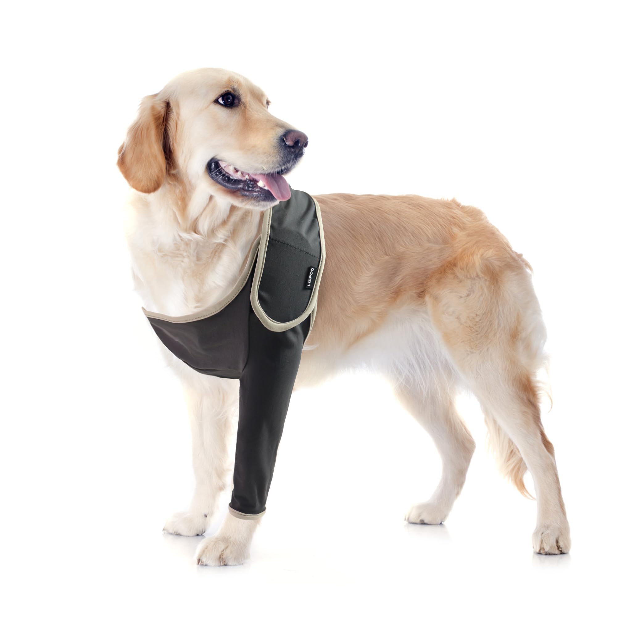 Hilltown Dog Elbow Pad Front Leg Protector to Prevent infect and Scratching - Injury Protection for Dog Elbow, Post-Surgery Recovery - Front Leg Brace for Dogs（Left Leg M）