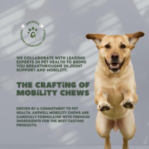 Aniwell Mobility Chews: Powered by Glucosamine MSM & Chondroitin - Hip and Joint Supplement for Dogs to Actively Support Mobility (1)