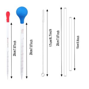 luckkyme 5PCS Glass Pipettes Dropper, 1ml 2ml 3ml 5ml 10ml Graduated Liquid Dropper, 2PCS Rubber Bulb, 2PCS Glass Stir Sticks Cleaning Brush, Transfer Pipettes