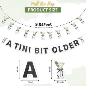 TaoBary A Tini Bit Older Banner Martini Themed Party Decorations Weenies and Tinis Party Bachelorette Party Bridal Shower Martini Trendy Birthday Party Green and Black Banner Party Garland, 2 Pcs