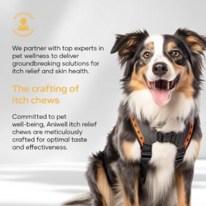 Aniwell Itch Relief Chews for Dogs – Vitamin E & Borage Oil Supplement – Packed with Beneficial Fatty Acids for Healthy Skin – Seasonal Allergies Support | Pack of 2