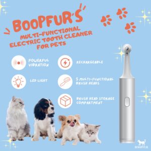 Generic Multifunctional Pet Electric Tooth Cleaning Tool for Dogs and Cats, 1 Count (Pack of 1), Silver