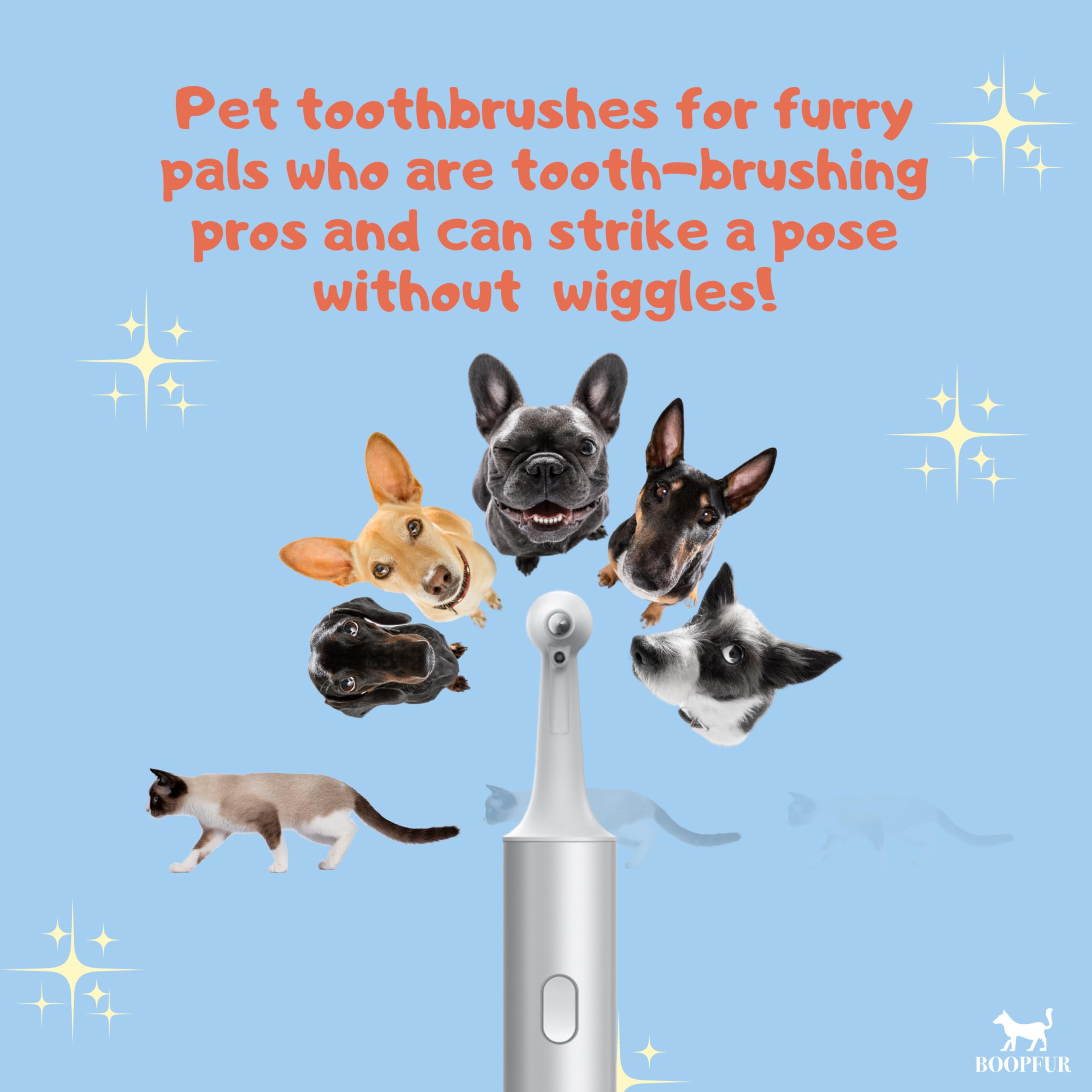 Generic Multifunctional Pet Electric Tooth Cleaning Tool for Dogs and Cats, 1 Count (Pack of 1), Silver