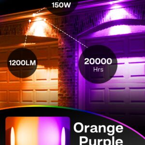 LEDERA LED Flood Orange Purple Light Bulb, 15W Equivalent 150W, Par38 Orange Purple Flood Light, E26 Base, Colored LED Light Bulbs, Not-dim Ideal for Halloween, Christmas, Party, Holiday, 2 Pack