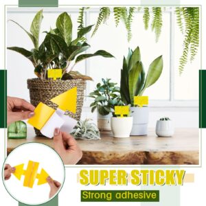 Qualirey 100 Pcs Fruit Fly Traps for Indoors Dual Sided Fungus Gnat Killer Yellow Sticky Bug Fly Trap Indoor for Outdoor Use House Kitchen Plants Mosquitos Whitefly Flying Insects Houseplant