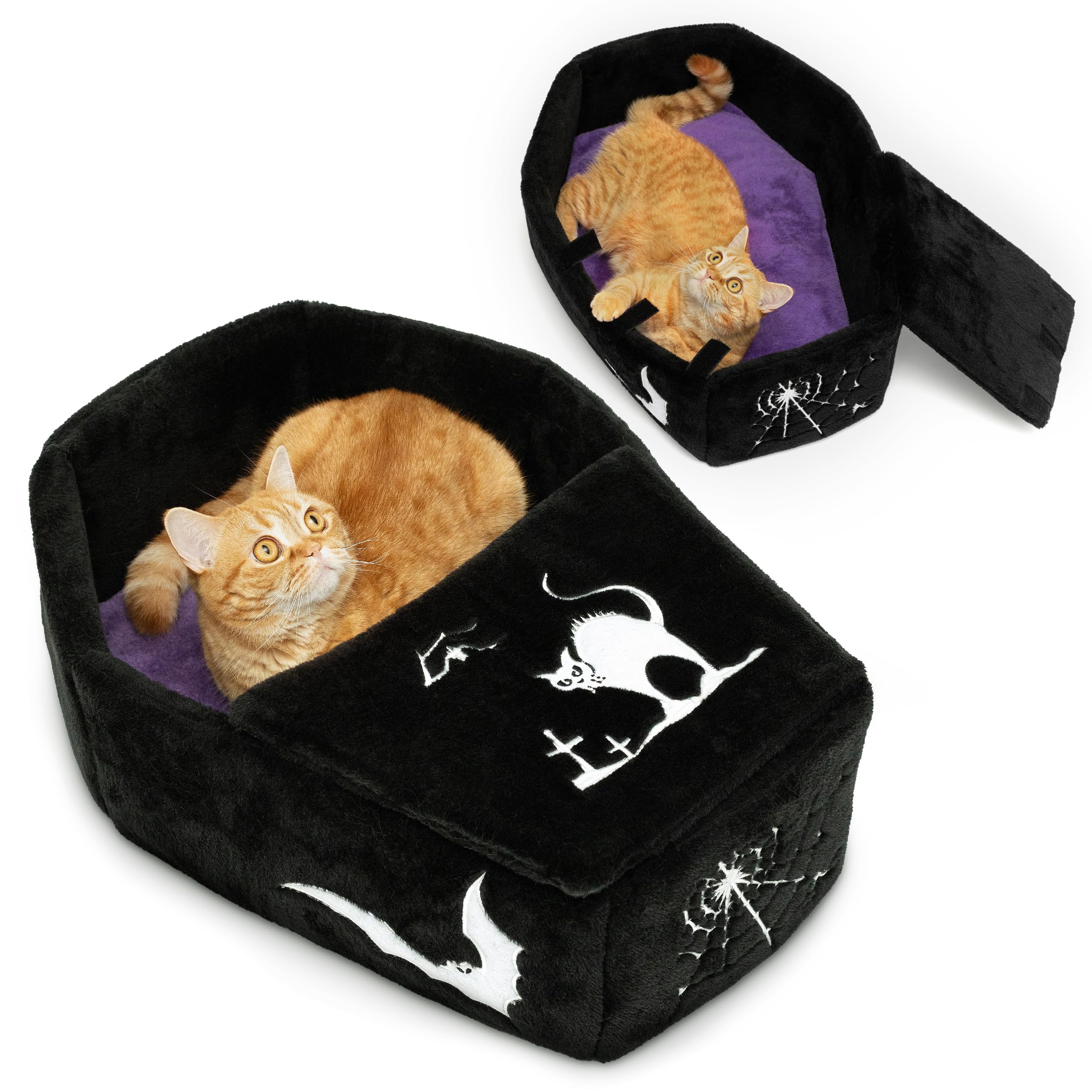 Littlesy Gothic Cat Bed with Purple Cushion - Coffin Cat Bed Ideal as Halloween Cat Bed, Perfect Goth Cat Bed in Black and Purple for Gothic-Themed Homes