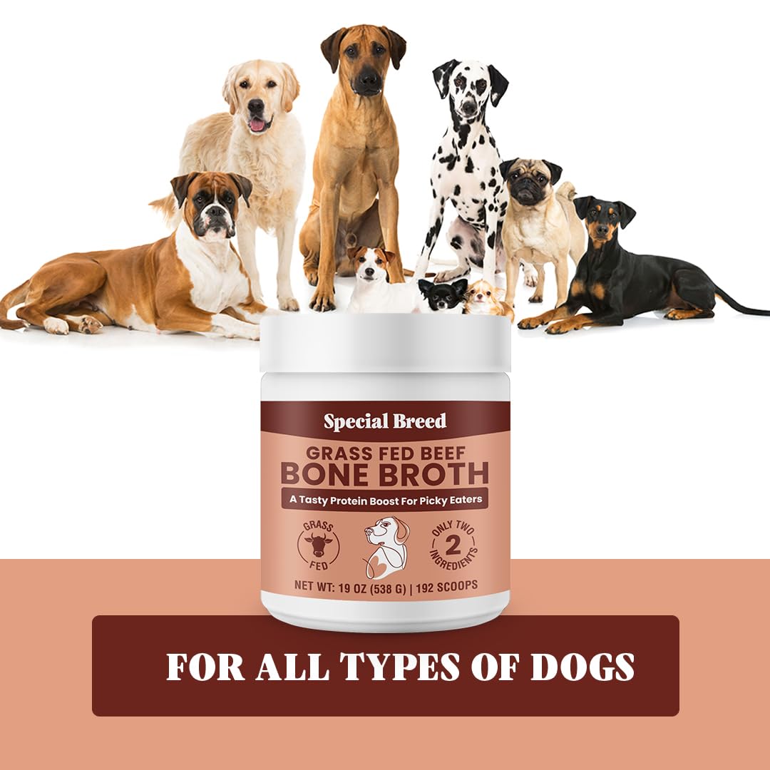 19oz Bone Broth Powder for Dogs and Cats - 192 Scoops - Dog and Cat Food Topper, Grass Fed Beef Broth Supplement