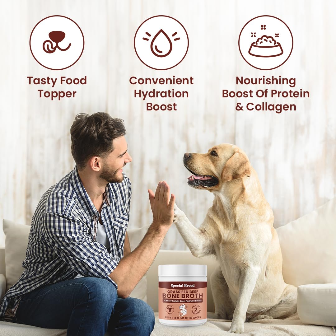 19oz Bone Broth Powder for Dogs and Cats - 192 Scoops - Dog and Cat Food Topper, Grass Fed Beef Broth Supplement