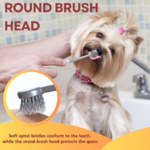 Pilopgaso Dog Toothbrush 4Pack Round Head Dog Tooth Brush Kit, Toothbrush for Dogs Soft Pet Toothbrush for Sensitive Teeth Small Dog Toothbrush mit Anti-Slip Rubber Handle for Pet Plaque Dental Care