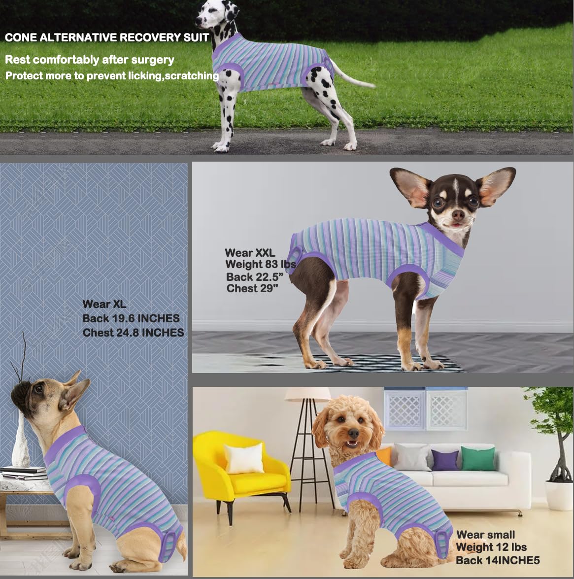 Wabdhally Dog Surgery Recovery Suit,Surgical Recovery Female Spay Suit for Large Dogs Cats,Surgery Recovery Multi Purple Onesie XL