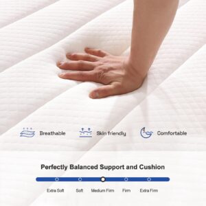 Hotkid,Full Mattress,10 Inch High Density Foam Hybrid Mattresses in a Box with Individual Pocket Spring, Breathable Comfortable for Sleep Supportive and Pressure Relief,Guest and Kids Bedroom (Full)