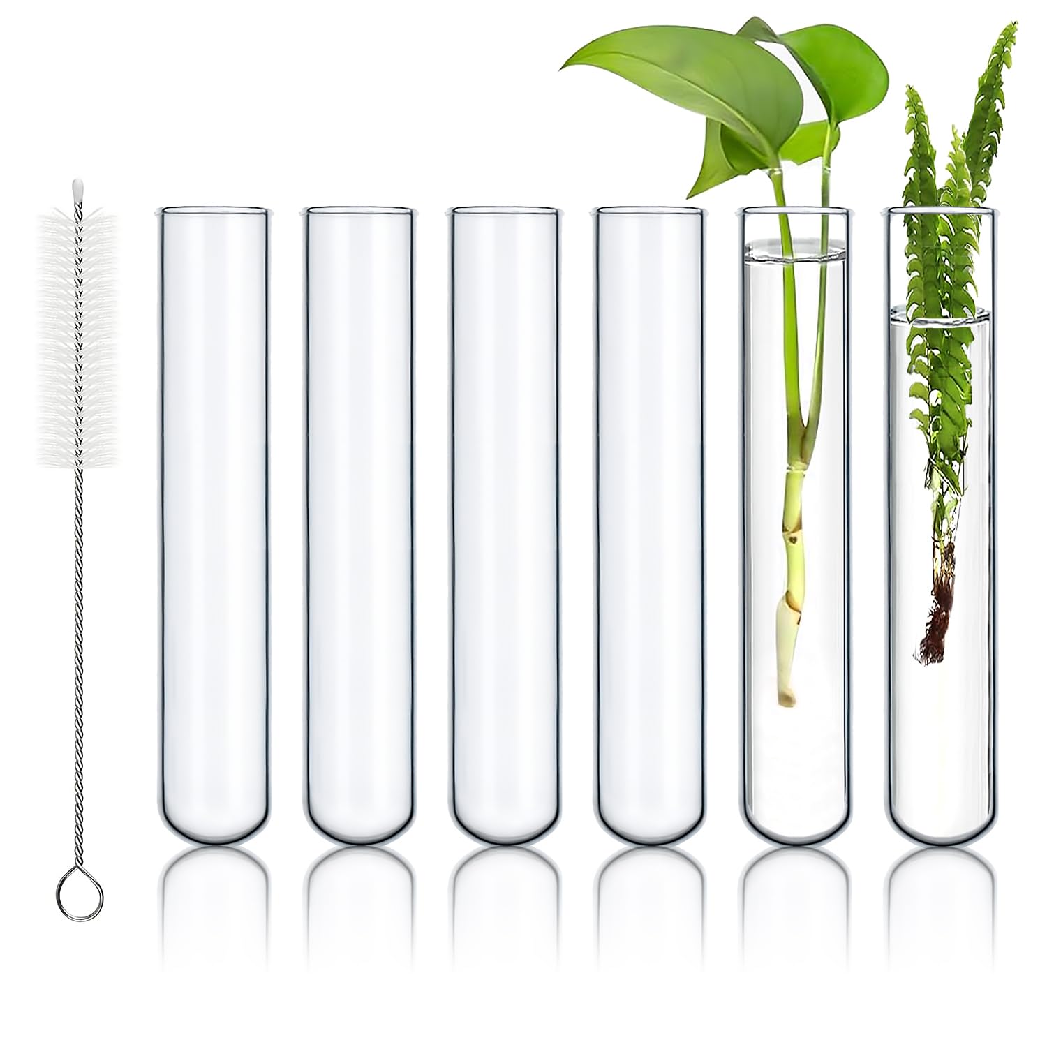 HUAOU 6pcs 100ml Large Glass Test Tube, 30x200mm Propagation Tube for Plant, 3.3 Borosilicate Clear Big Glass Test Tube Vase for Scientific Experiments Party Office Desktop Flower Decoration Wedding