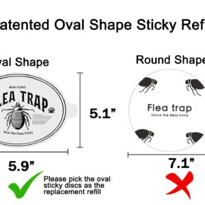 Flea Trap, 2 Pack Sticky Flea Traps for Inside Your Home with 4 Sticky Discs & 6 Bulbs, Shell Shape Electric Flea Light Killer Bed Bug Trap, Natural Indoor Pest Control for Home, Safe to Pet & Child