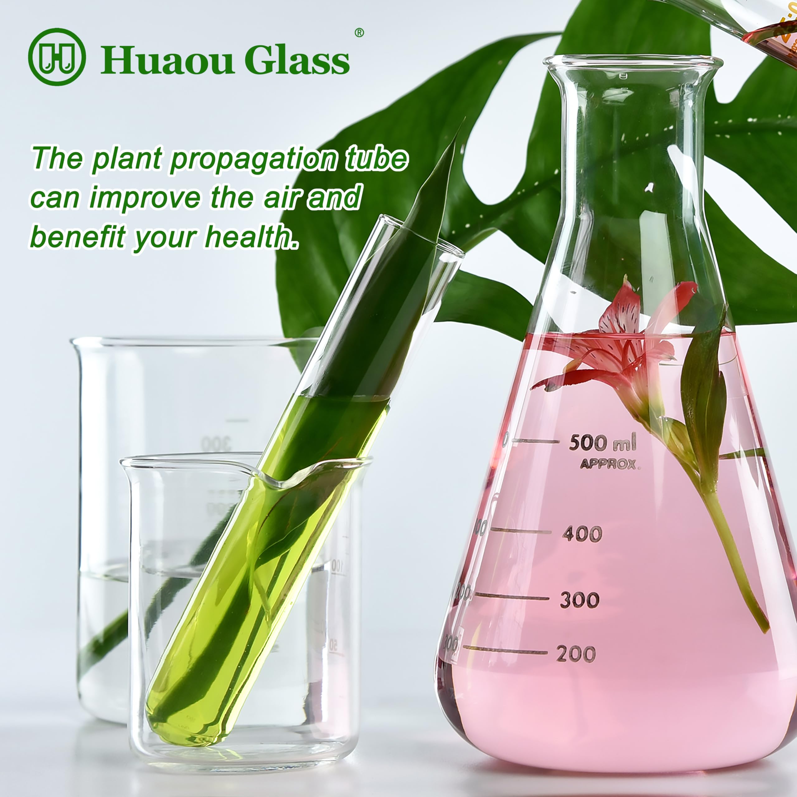 HUAOU 6pcs 100ml Large Glass Test Tube, 30x200mm Propagation Tube for Plant, 3.3 Borosilicate Clear Big Glass Test Tube Vase for Scientific Experiments Party Office Desktop Flower Decoration Wedding