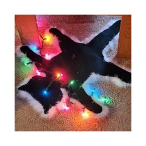 generic funny christmas rugs light up fried cat rug decor national lampoon christmas vacation village decorations xmas gifts for family (colorful)